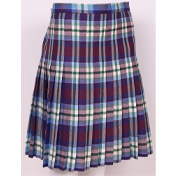 Skirt, Ladies All round pleated, Landing Zone Tartan